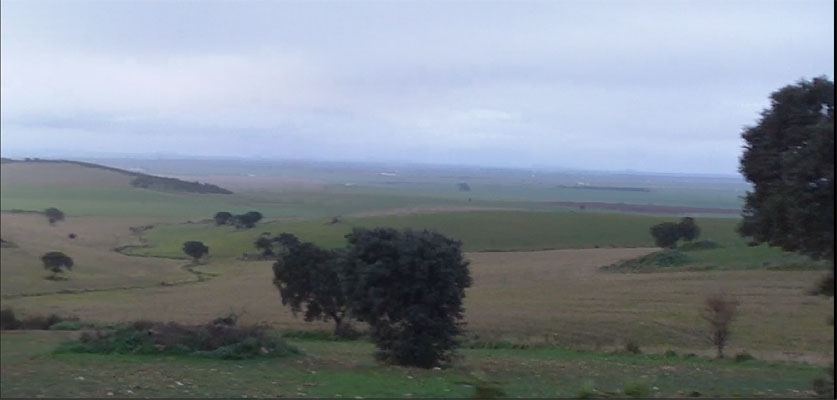 Captura de pantalla 48