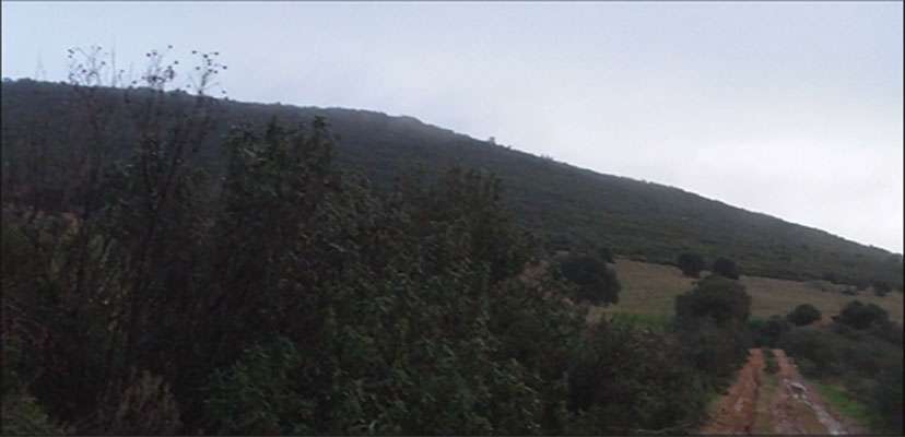 Captura de pantalla 52