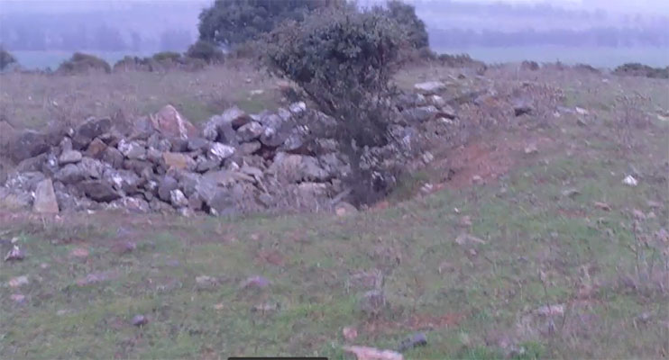 Captura de pantalla 61