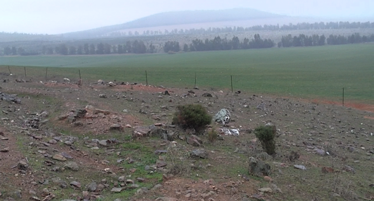 Captura de pantalla 66