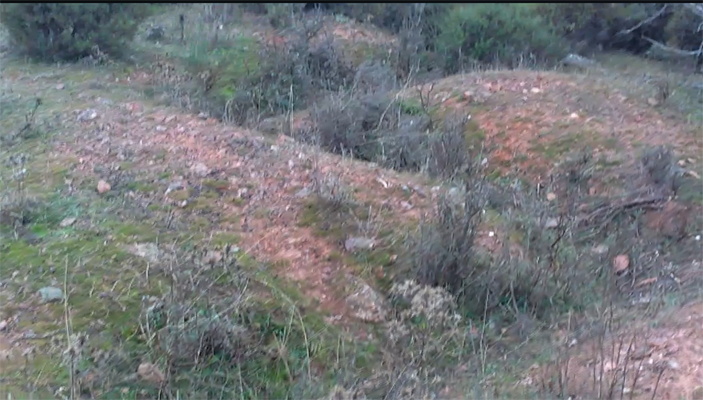 Captura de pantalla 68